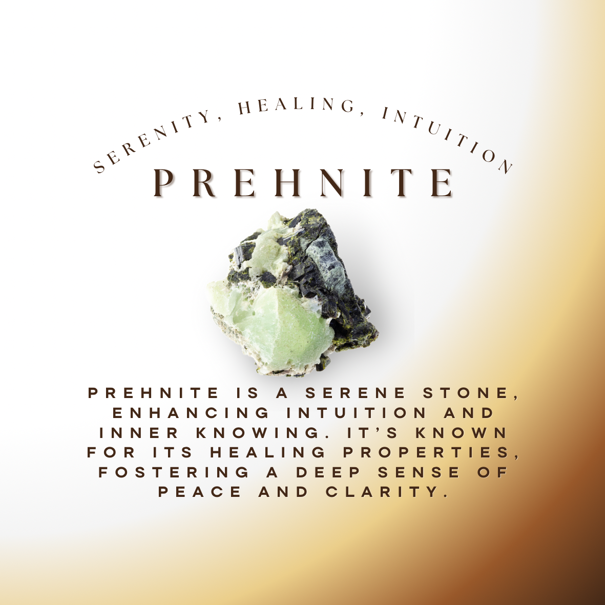 Prehnite Bracelet